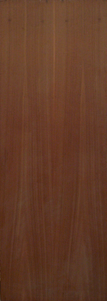 Puerta Blindada (SA)